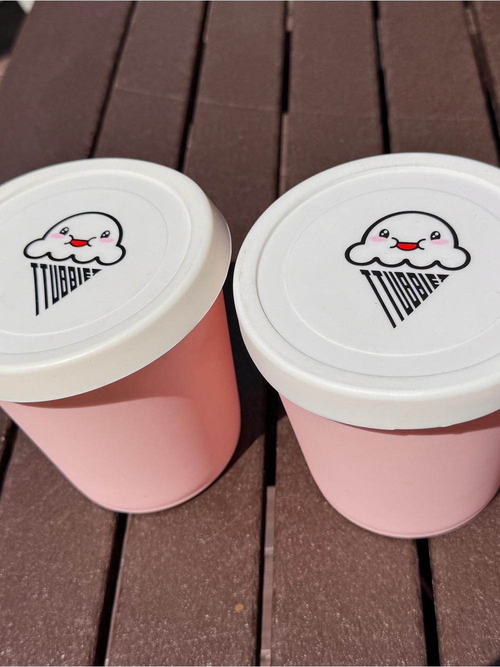 Ttubbiez Freezer Containers for Homemade Ice Cream-Set of 2